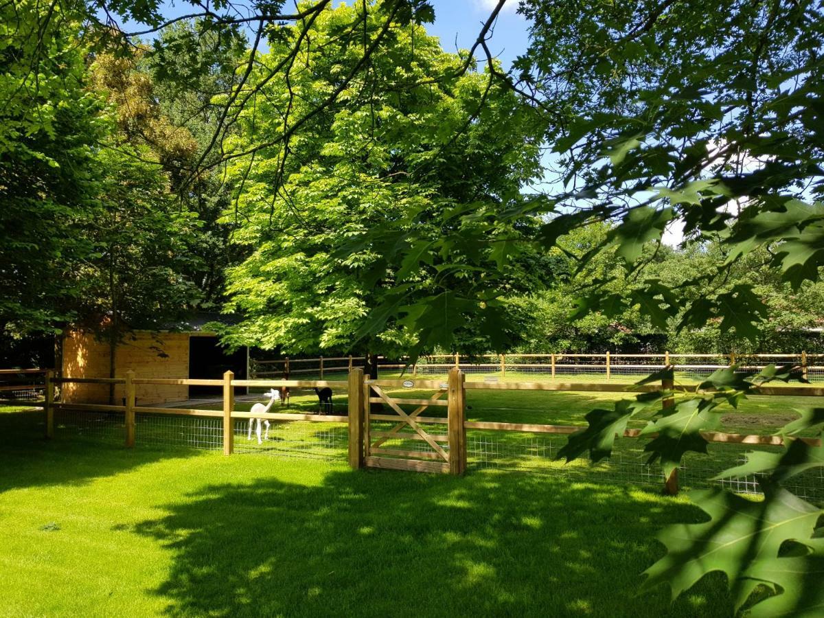 The Two Oaks - Private Garden For Guests Villa Hertsberge Kültér fotó